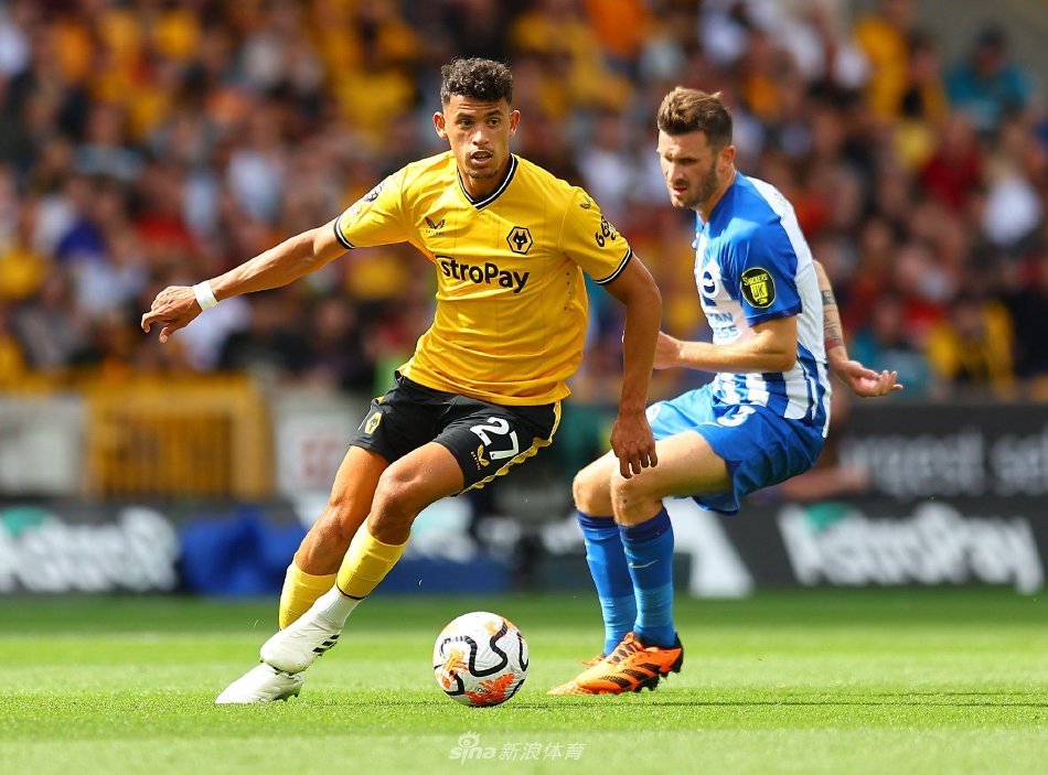 将在全国羽 将在全国羽